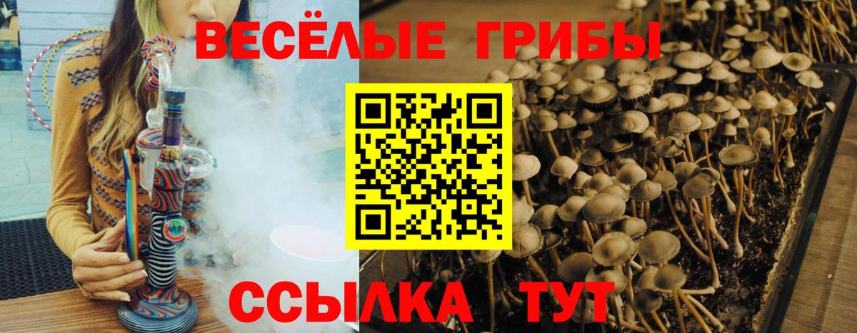 Псилоцибиновые грибы Magic Shrooms Новокуйбышевск