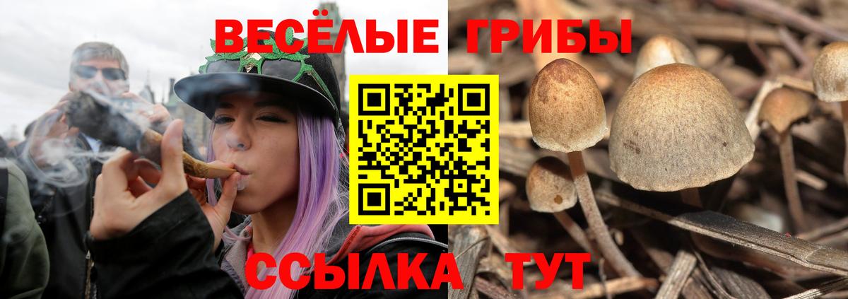 Новокуйбышевск  Галлюциногенные грибы Cubensis  Вход с VPN 